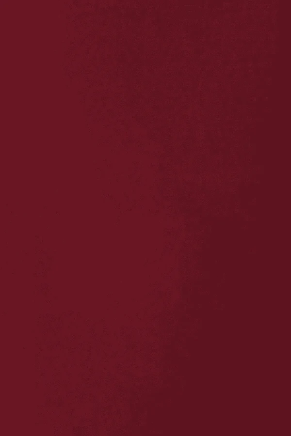 Nanda Dress Burgundy - Image 4